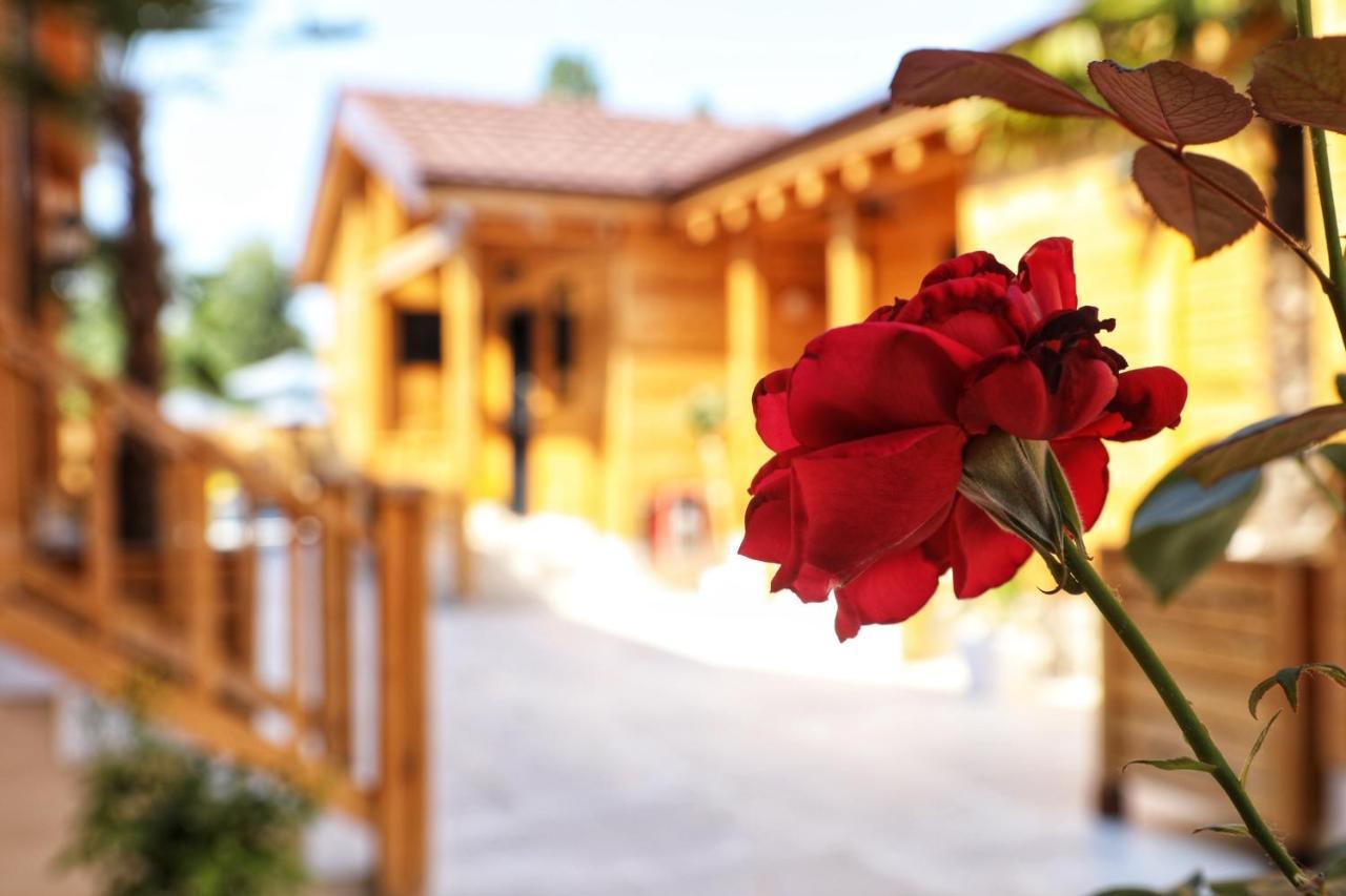 Bujtina Siar Hotel Pogradec Exterior foto